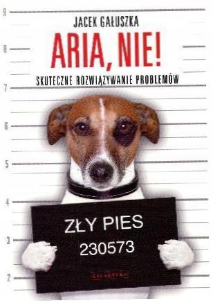 Aria, nie! Skuteczne rozwiązywanie problemów-Zdjęcie-0