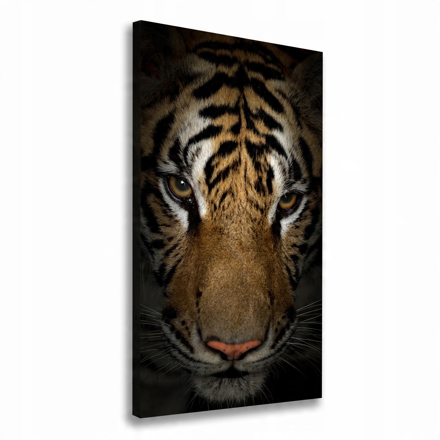 

Nowoczesny fotoobraz canvas na ramie Tygrys 70x140