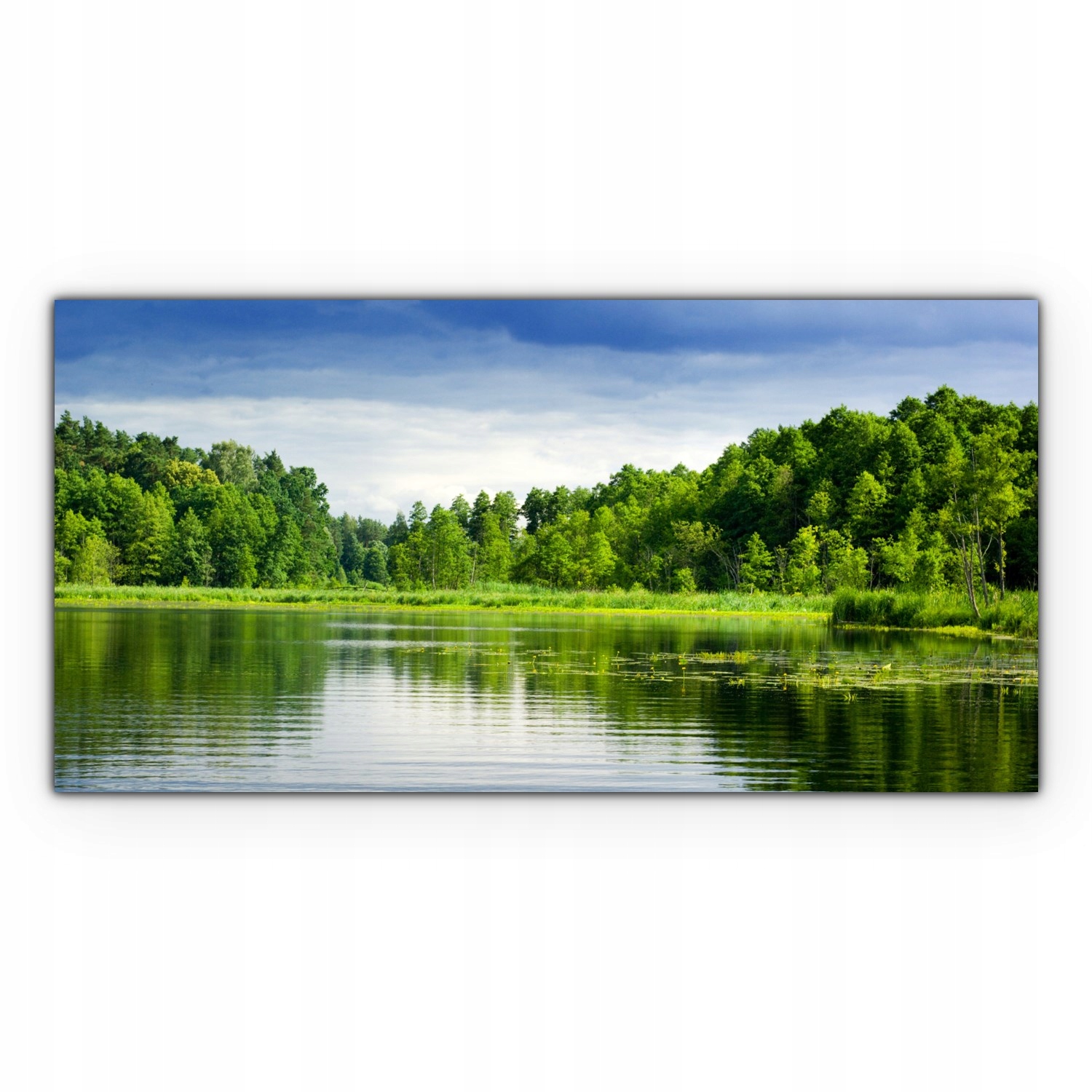 

Obraz na płótnie ścienny 140x70 Jezioro Natura Las