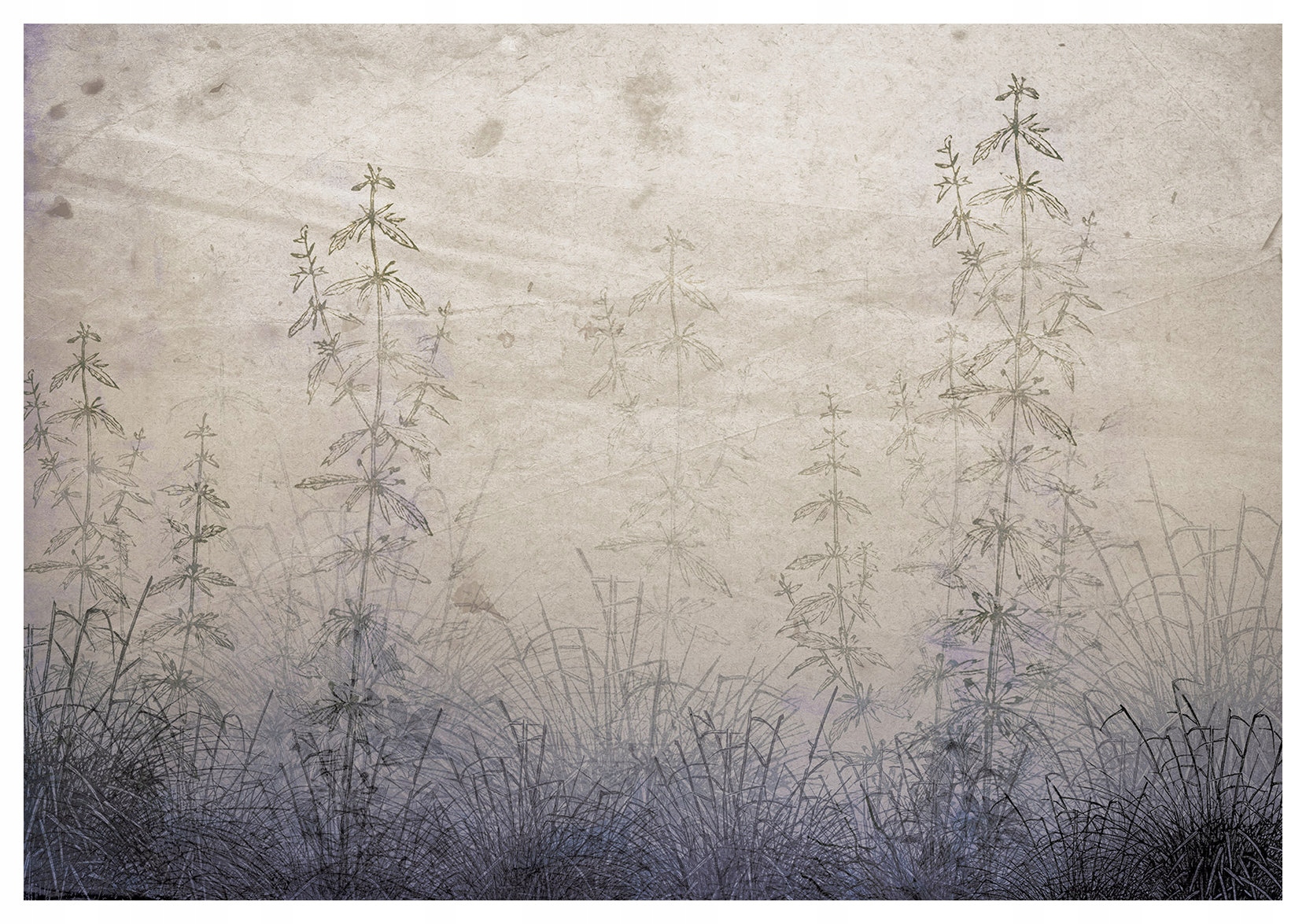 Vliesová fototapeta Trávy a listy jemné 368x254 lepidlo