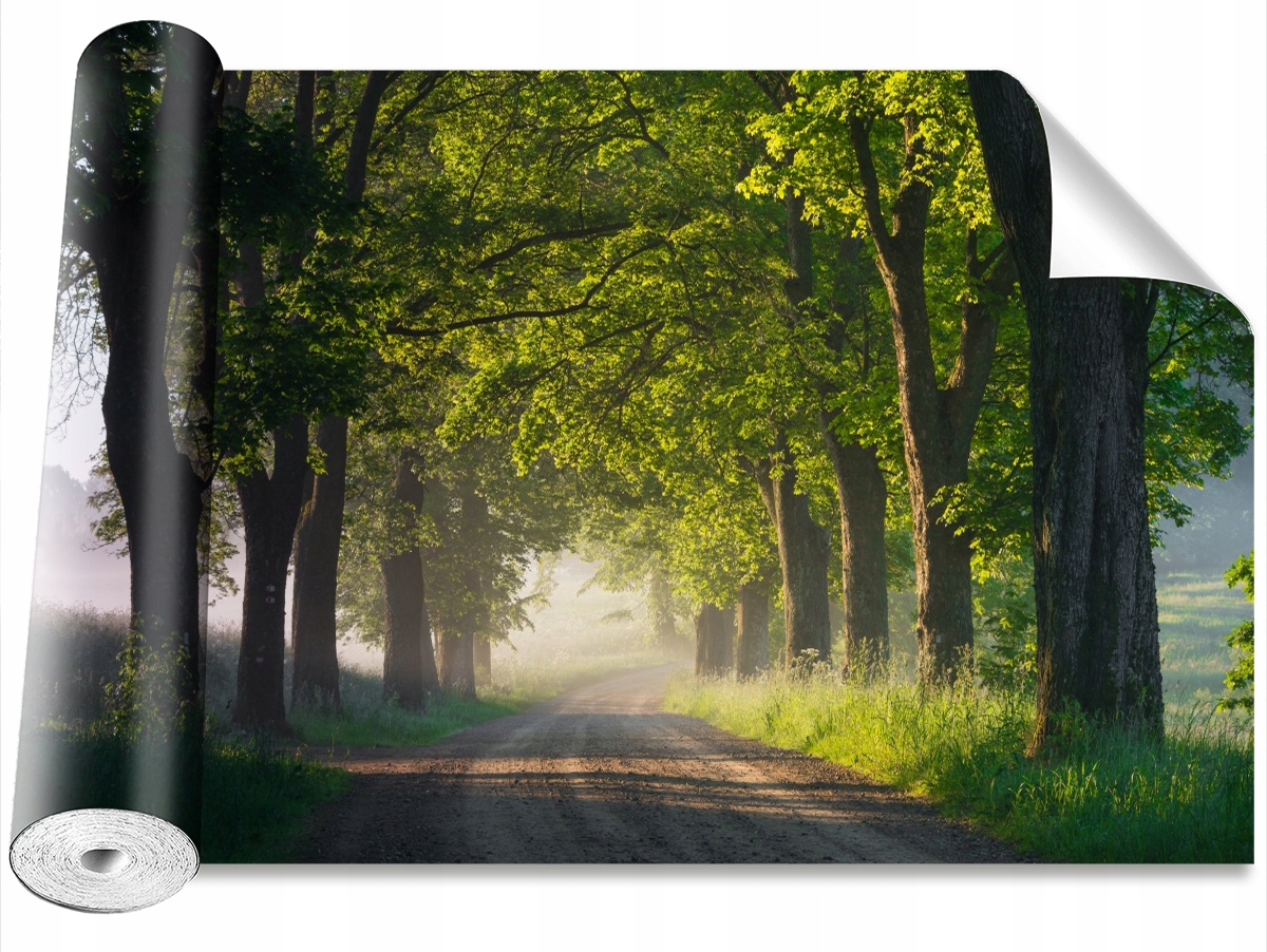 

Tapeta Samoprzylepna Aleja drzew 208x146