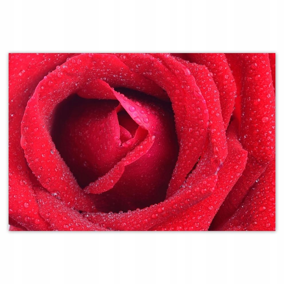 

Plakat 93x62 Dzień Kobiet Prezent Love