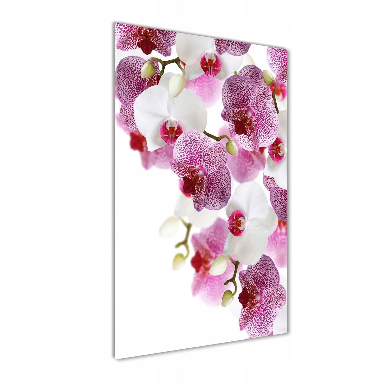 

Foto obraz akrylowy na ścianę Orchidea 60x120 cm