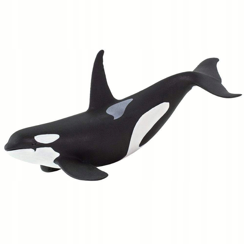 

Orka oceaniczna - Safari Ltd. - 100232
