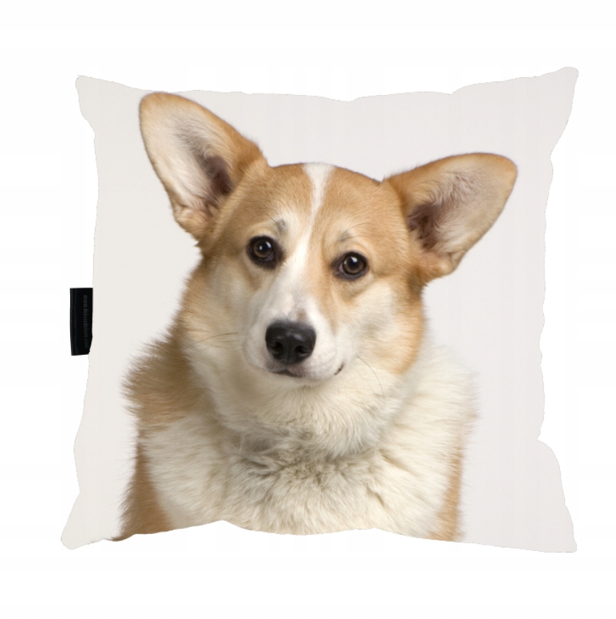 

Poduszka z Psem Corgim 40x40 do spania