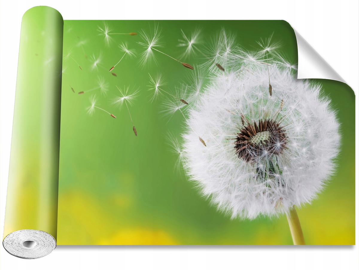 

Tapeta Samoprzylepna MagicStick Dmuchawiec 104x70