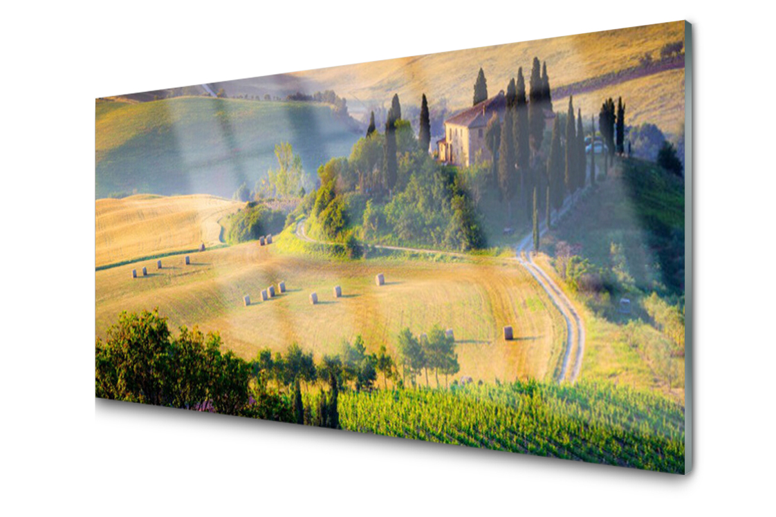 

Panel szklany Płytka Pole Drzewa 120x60 + Klej