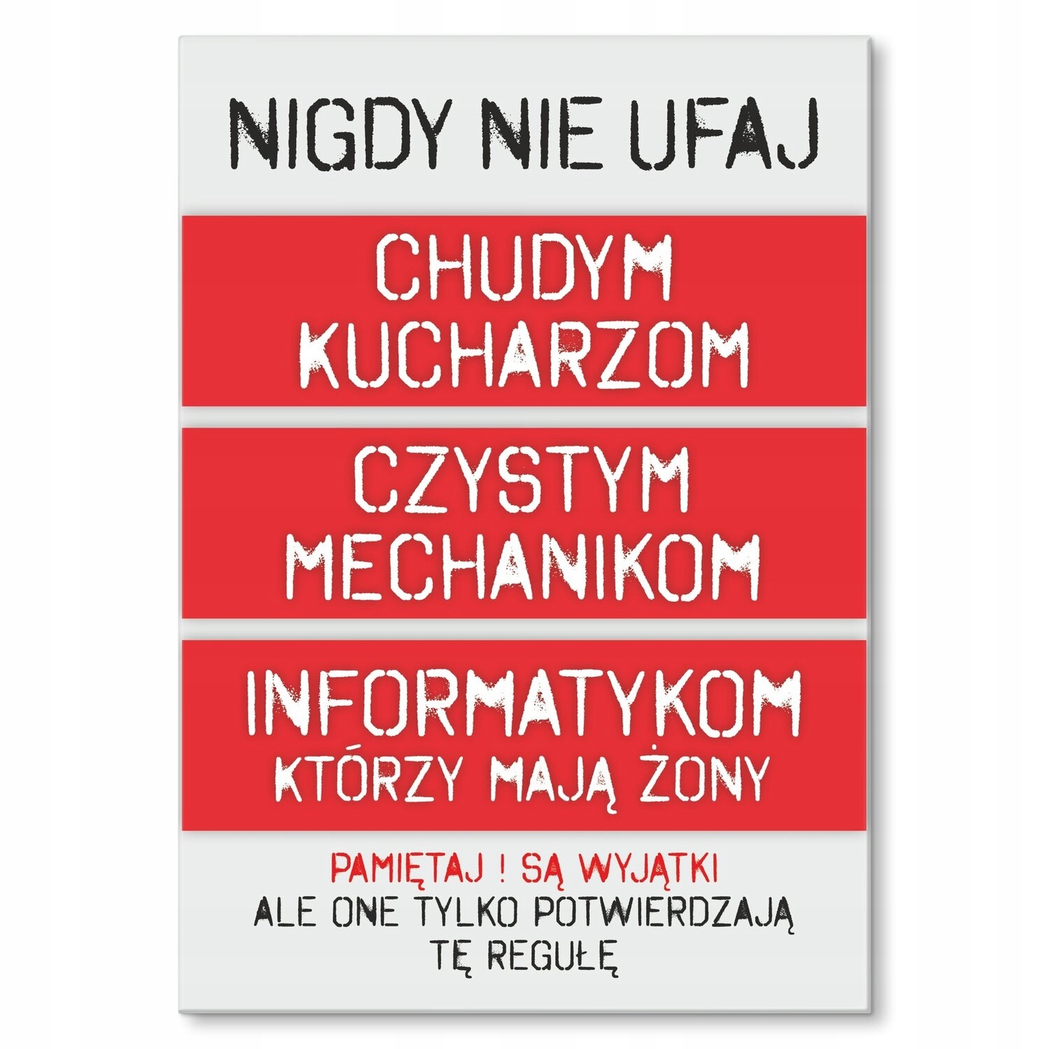 Kovový plakát nikdy nevěřte Štítek Plech 42 x 59,4 cm Dárek