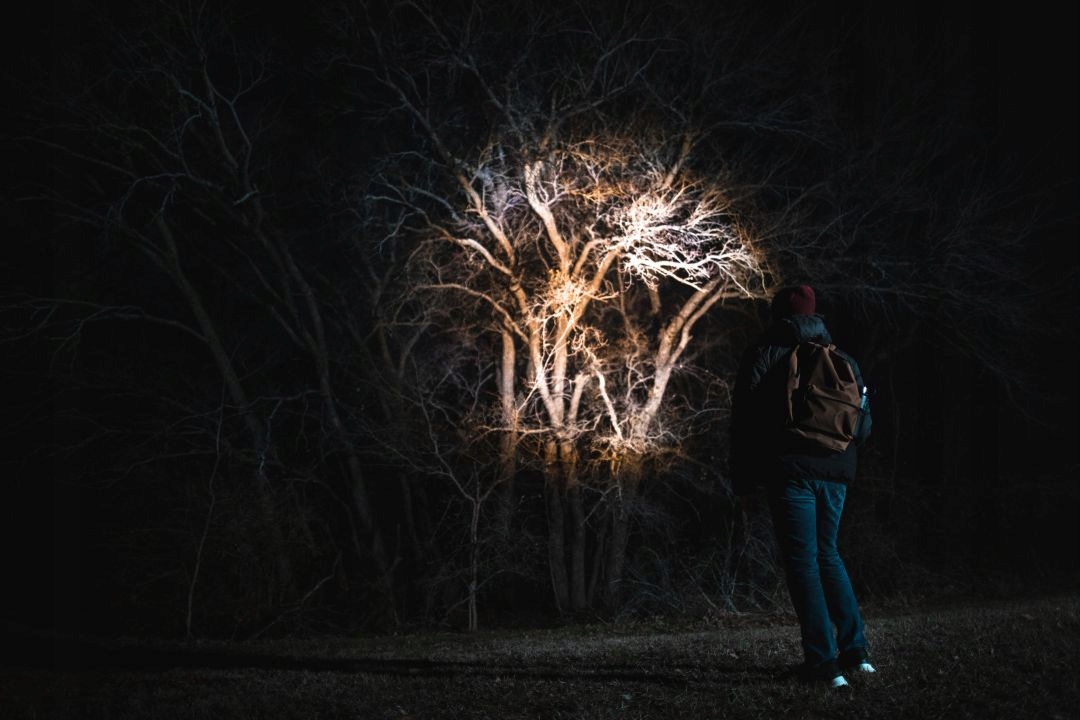 8fa701824f7e8583da4c290a08d4