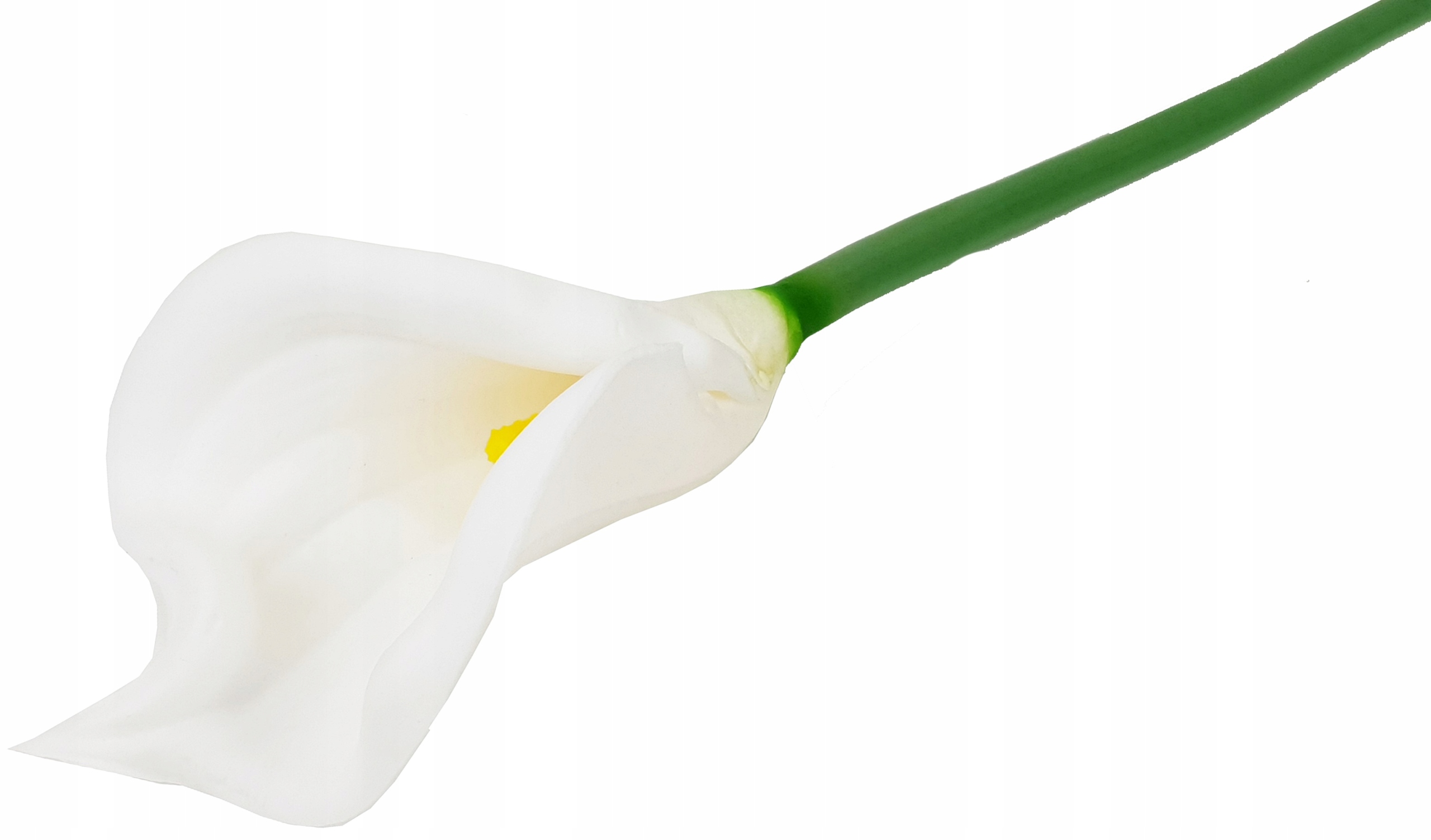 KALIA CALLA PIANKA dł 67 cm KWIAT GAŁĄZKA