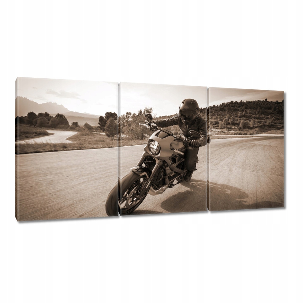 

Obrazy 120x60 Harley Davidson Motocykl