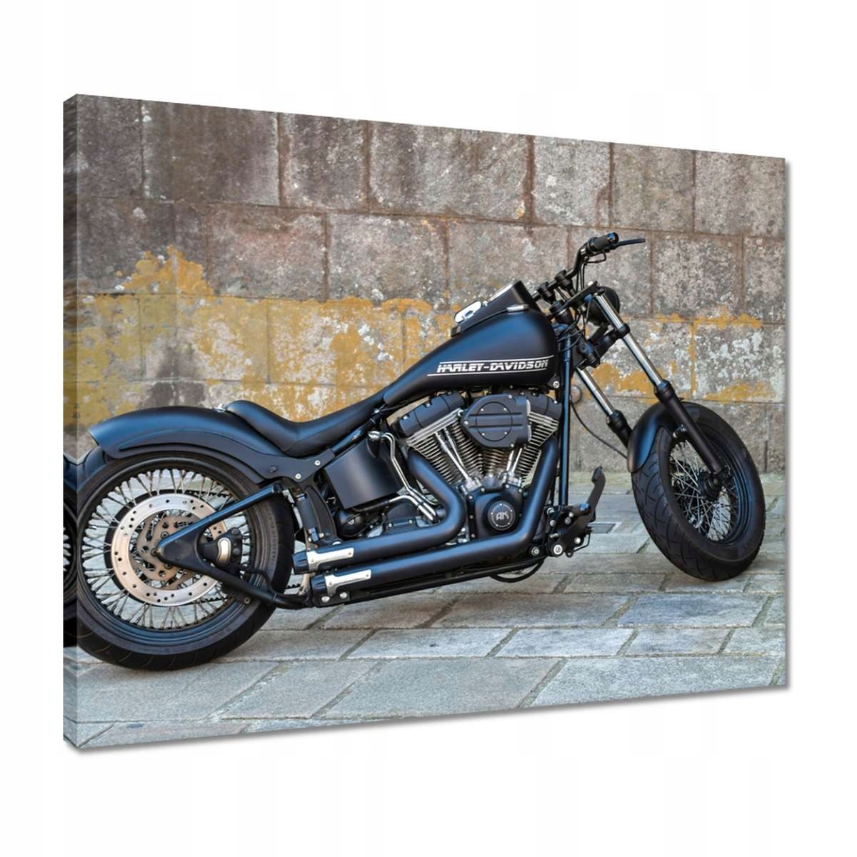 

Obrazy 50x40 Harley Davidson Motocykl