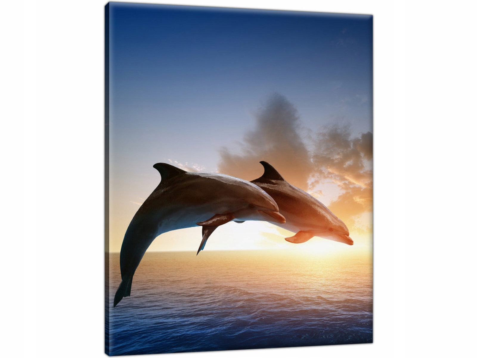 

Morze Ocean Delfiny 50x60 Zachód Słońca obraz