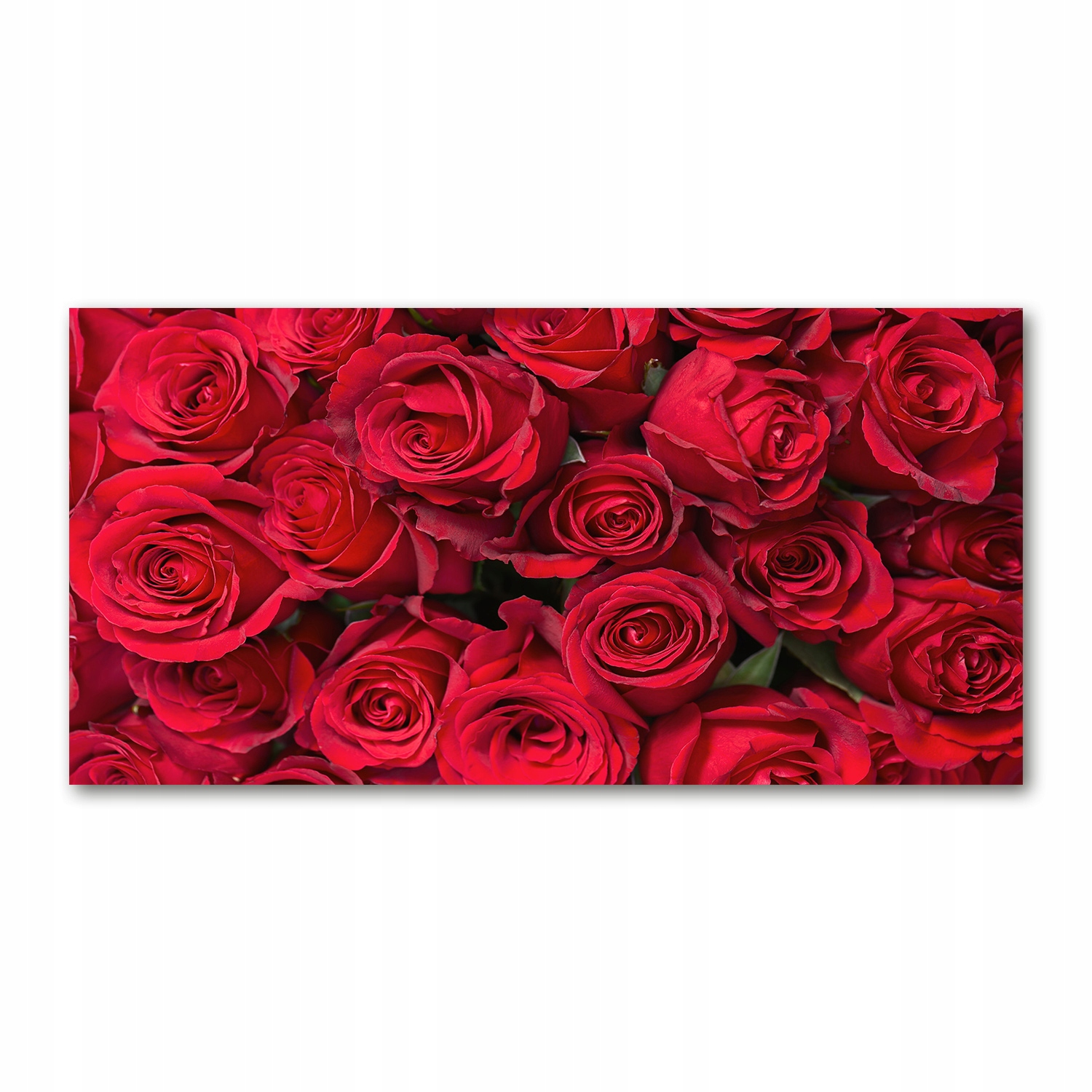 

Foto-obraz akryl Czerwone róże zdjęcie 140x70 cm