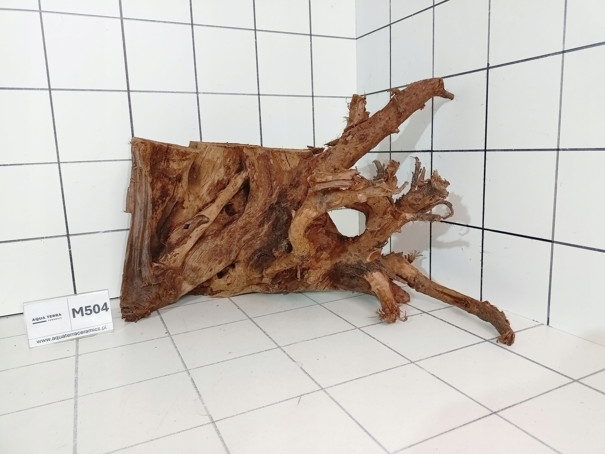 Korzeń Mangrowiec M504 – Piękny Kształt! Gotowy Do Akwarium Terrarium