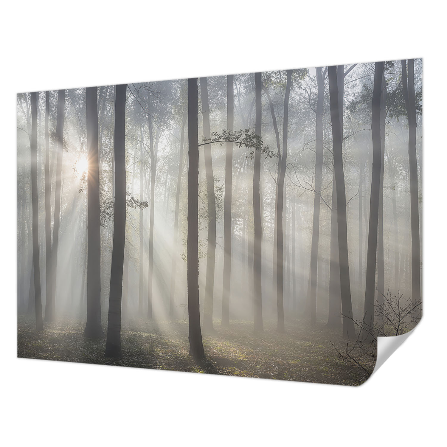Fototapeta Samolepicí Premium Snadná montáž Éterický les 312x219 cm