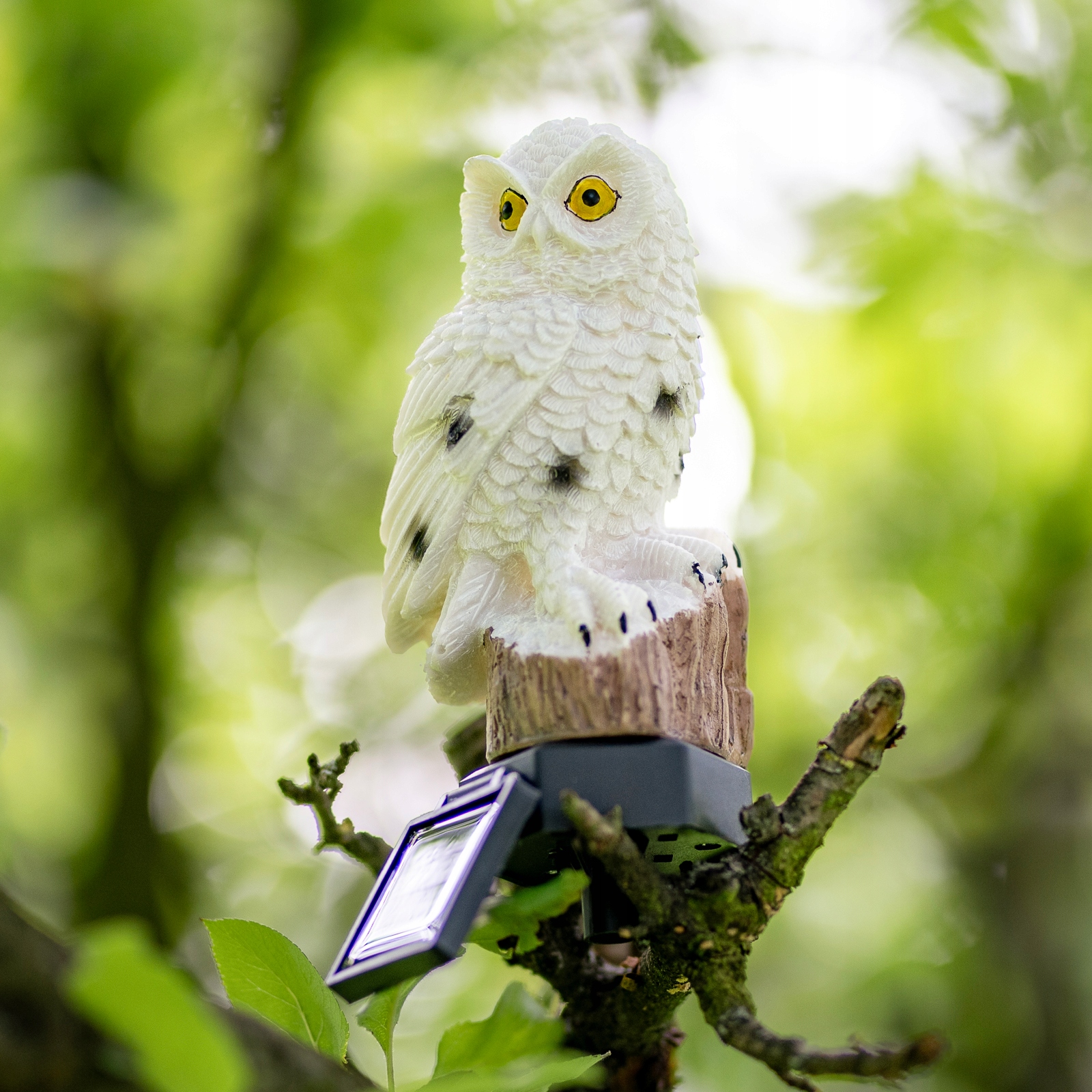 Lampka Solarna SOWA Lampa OGRODOWA LED Wbijana z Czujnikiem Wodoodporna Średnica/szerokość 8.5 cm