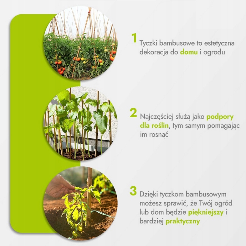 TYCZKI BAMBUSOWE 75 cm 10/12 mm /500 szt/, bambus Producent Dixiestore