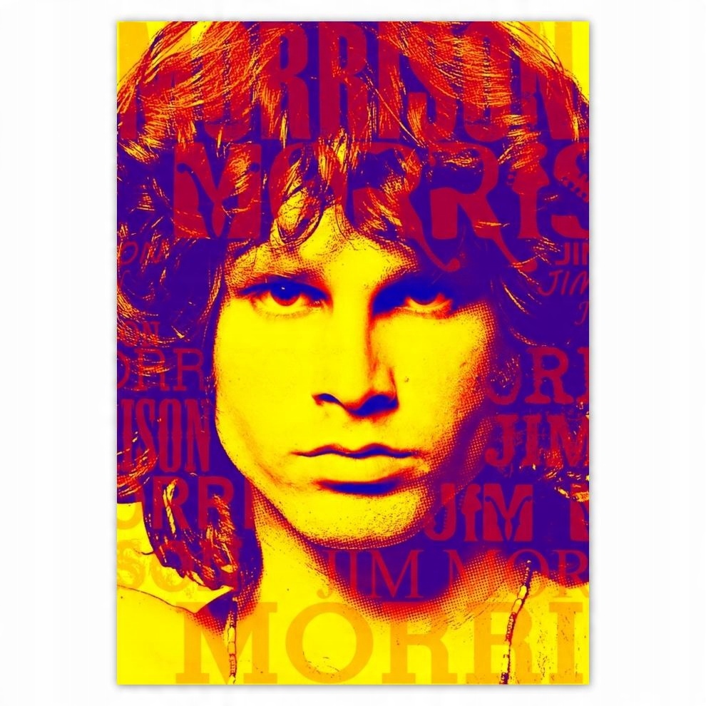 

Naklejki 50x70 The Doors