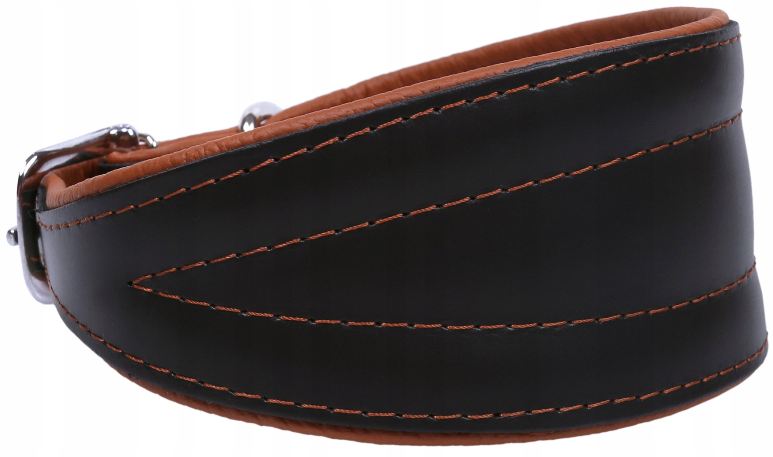 Czarno-brązowa obroża Chart Neo 55 cm ZOOleszcz