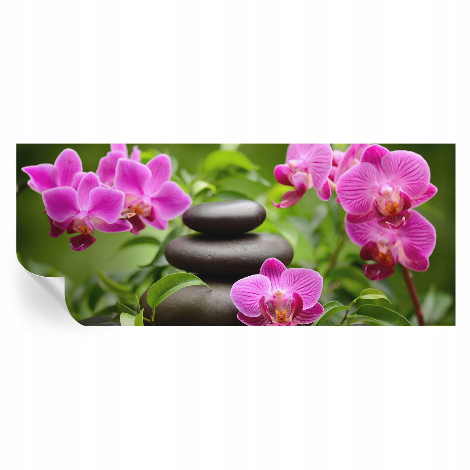 Samolepicí dekorativní fototapeta do ložnice Orchideje kameny 250x104