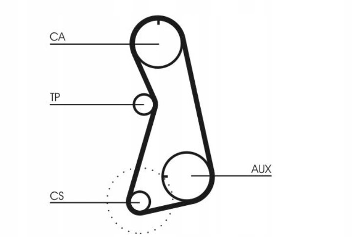 Continental CT630 Pasek rozrządu Numer katalogowy części CT630
