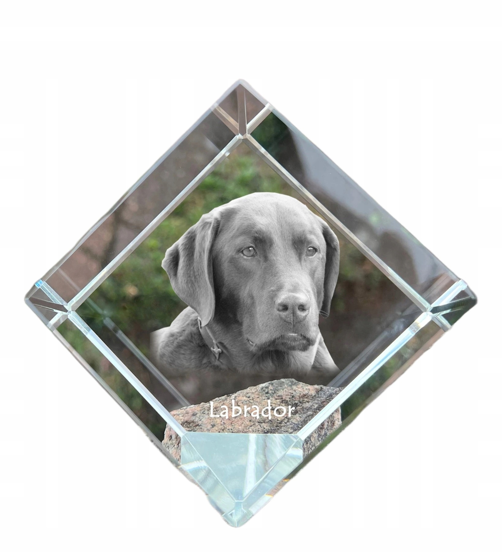 Labradorský retriever s krištáľovou kockou a fotografiou psa, ozdoba na stôl