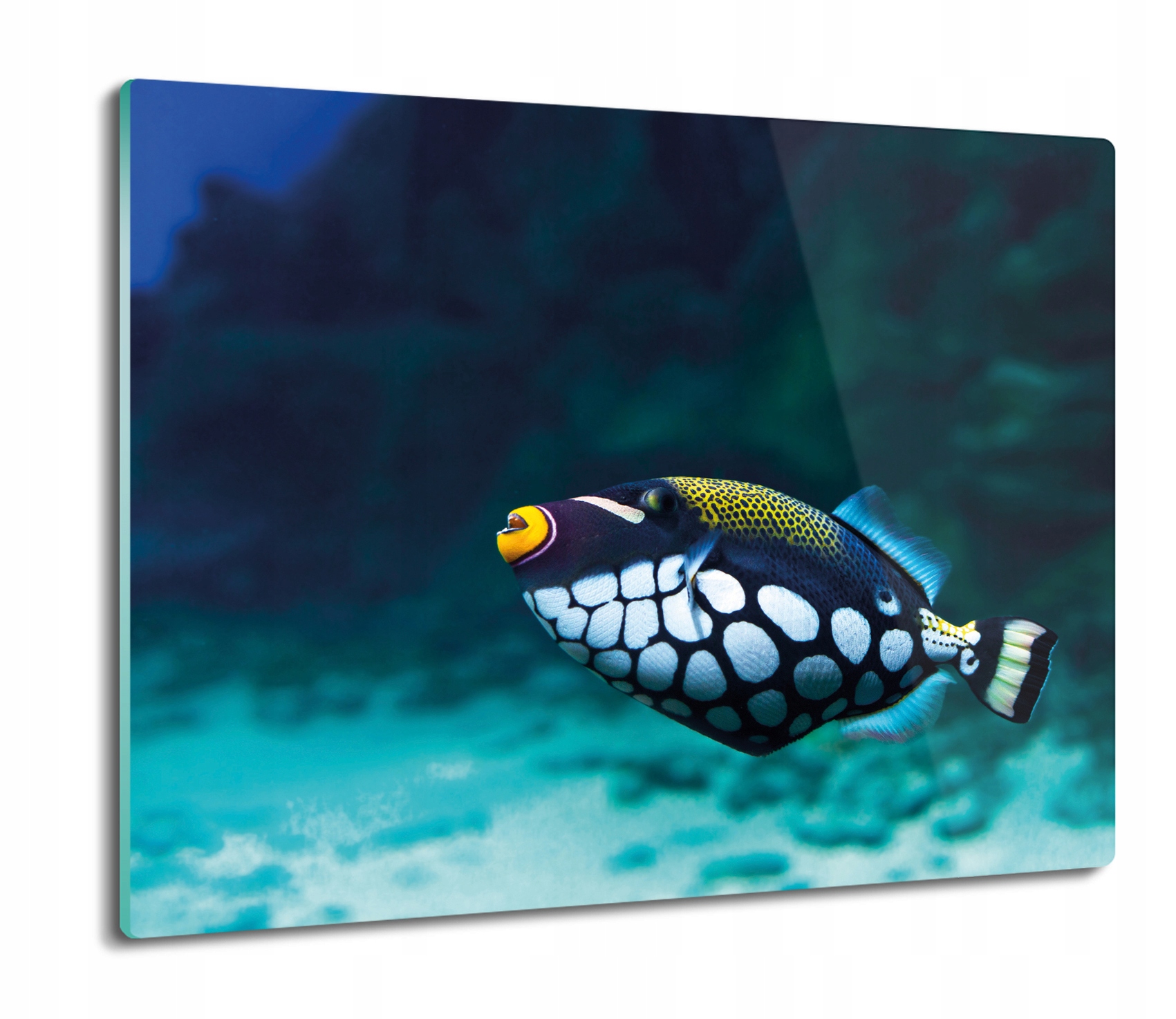 

Ryba woda rafa 60x52 deska do krojenia prostokątna