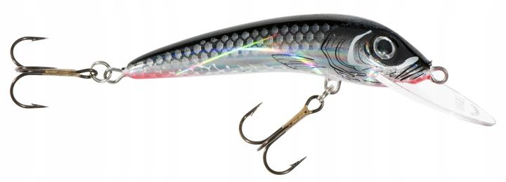 Wobler Jaxon Hs Ferox 6 F St