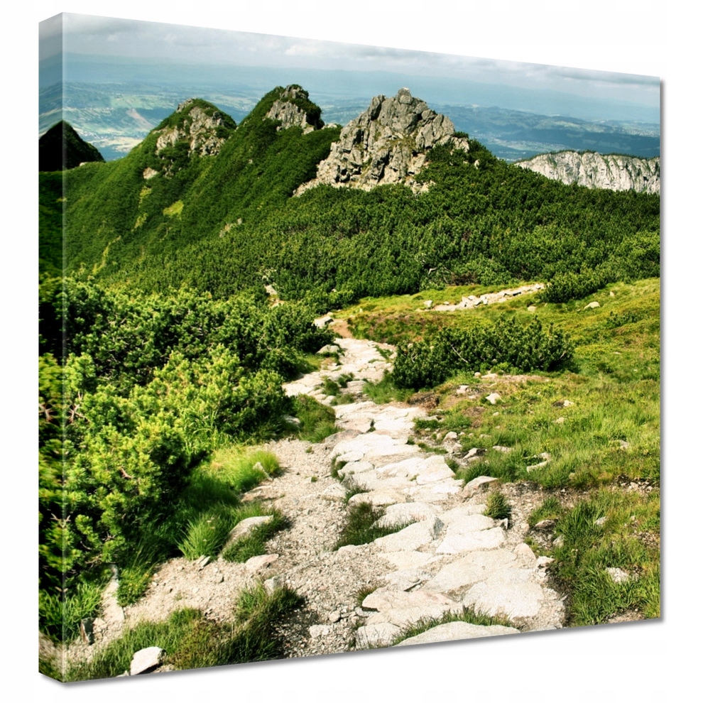Obraz 90x90 Hory Tatry