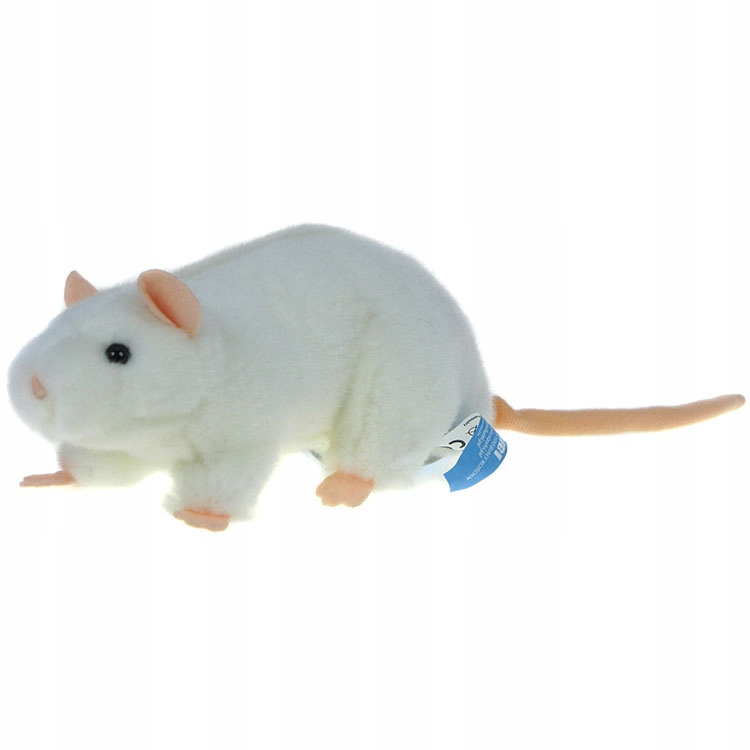 

Zoo: maskotka Szczur biały 18cm (07915)