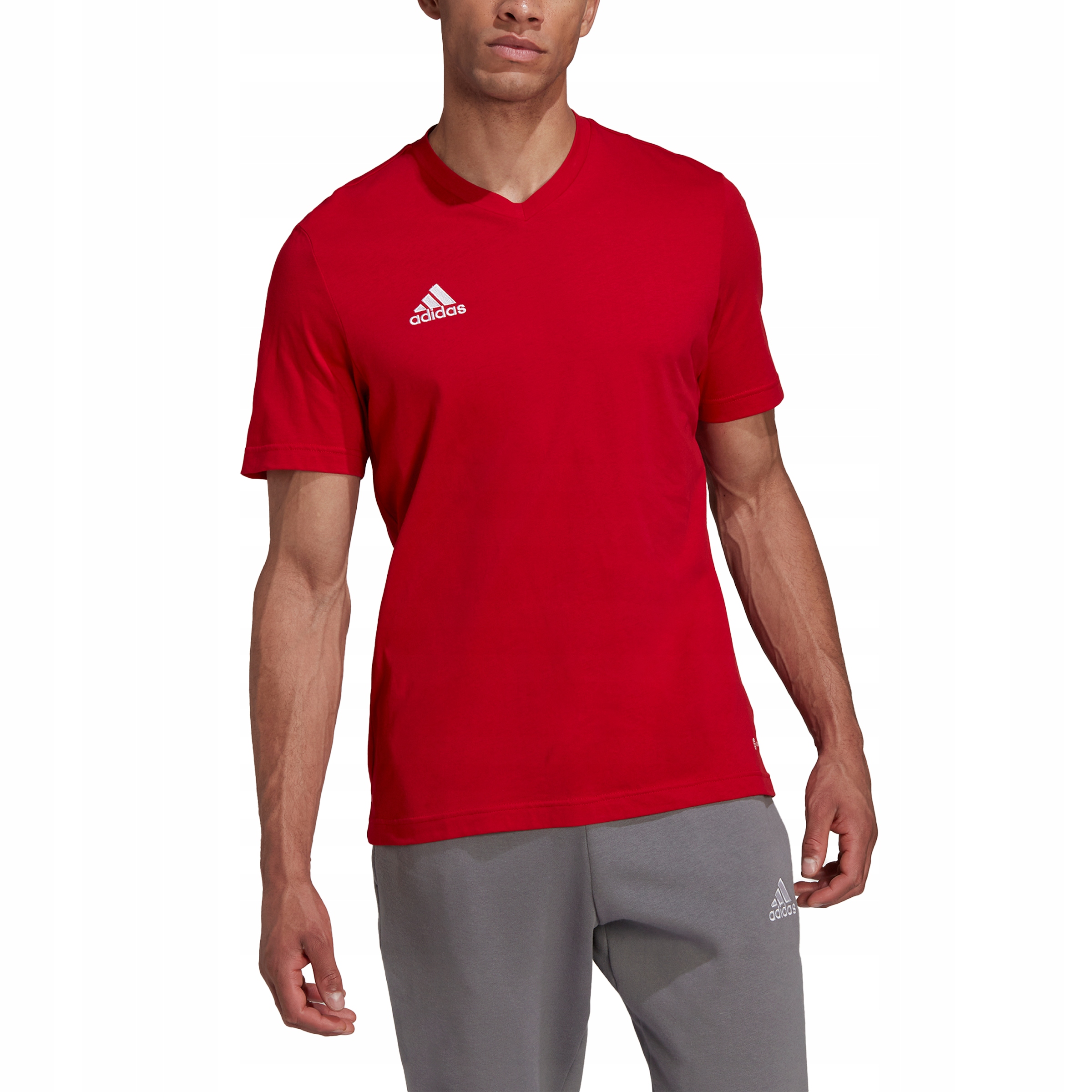

koszulka męska T-shirt adidas r 2XL HC0451