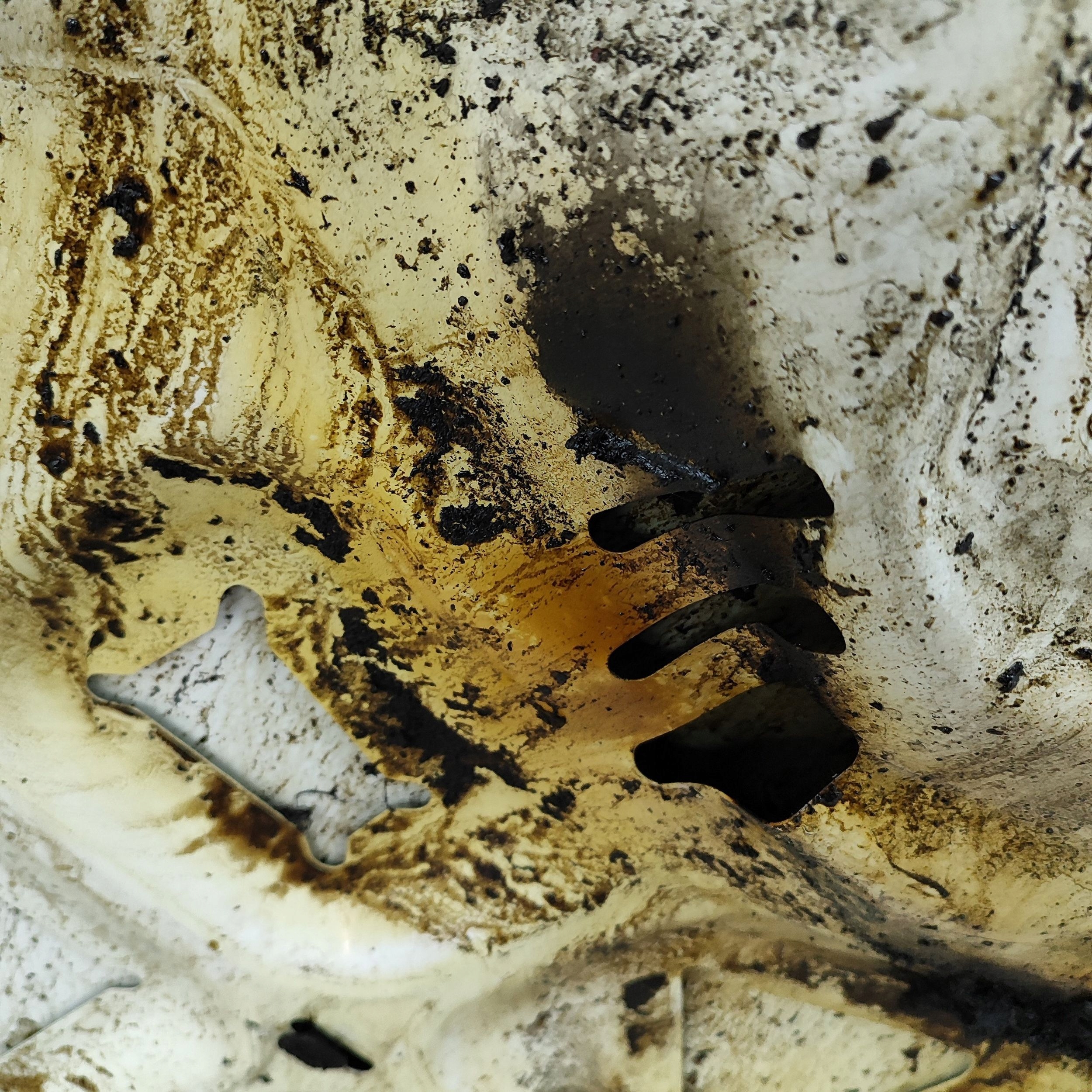 E860ba4246eb913b9c91b40c9fae