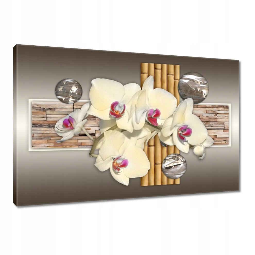 

Obrazy 90x60 Storczyk z bambusami