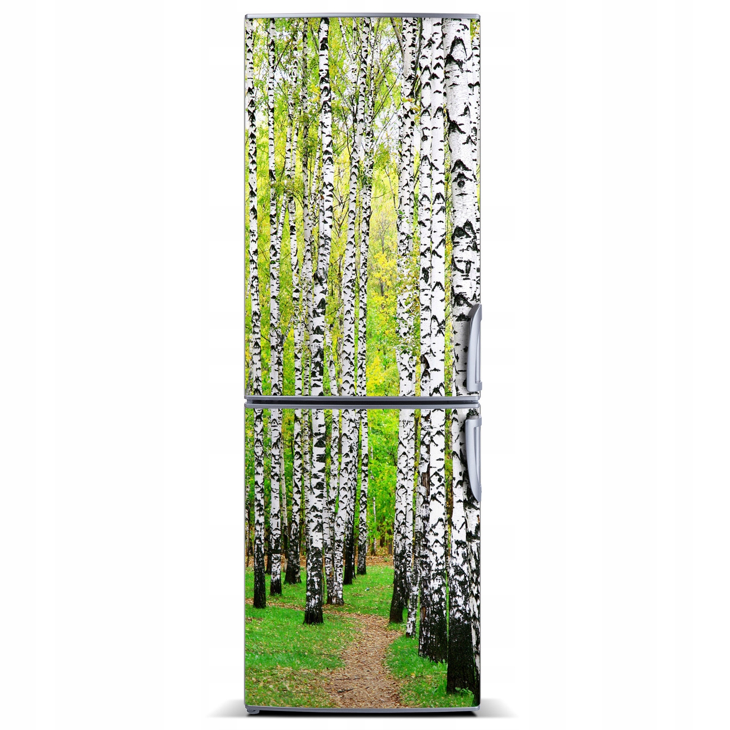 

Magnes fototapeta na lodówkę Las brzozowy 60x180