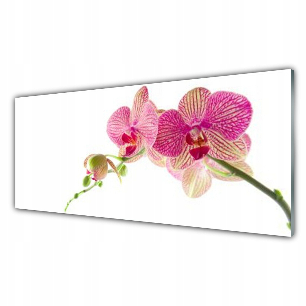 

Fotoobraz akryl z nadrukiem 125x50 Kwiaty Roślina