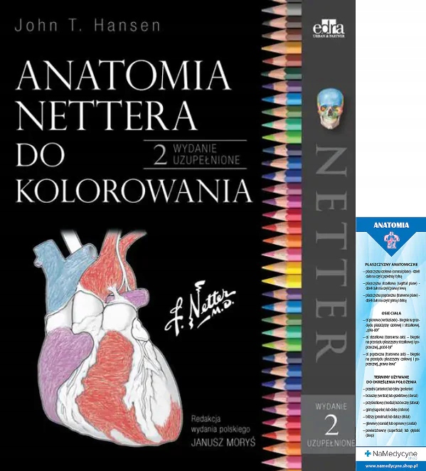 Anatomia Nettera Do Kolorowania Kolorowanka Netter