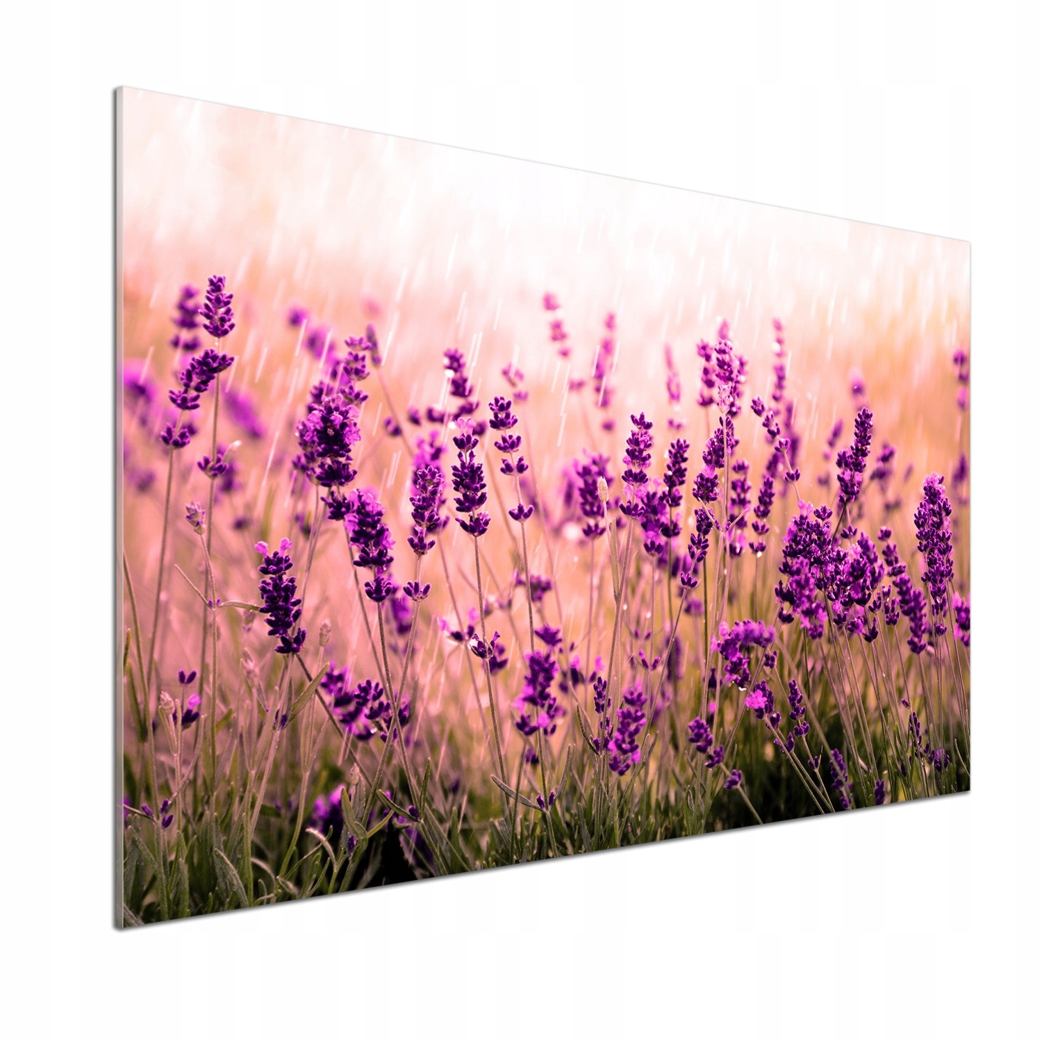 Sklenený panel do kuchyne Levanduľa 100 x 70 cm Lepidlo