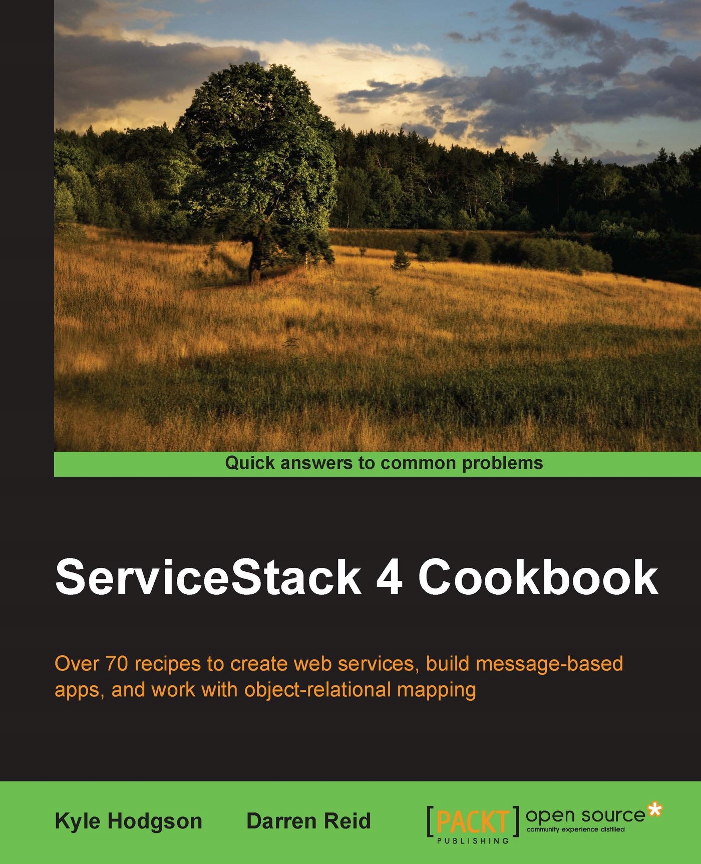 ServiceStack 4 Cookbook - ebook