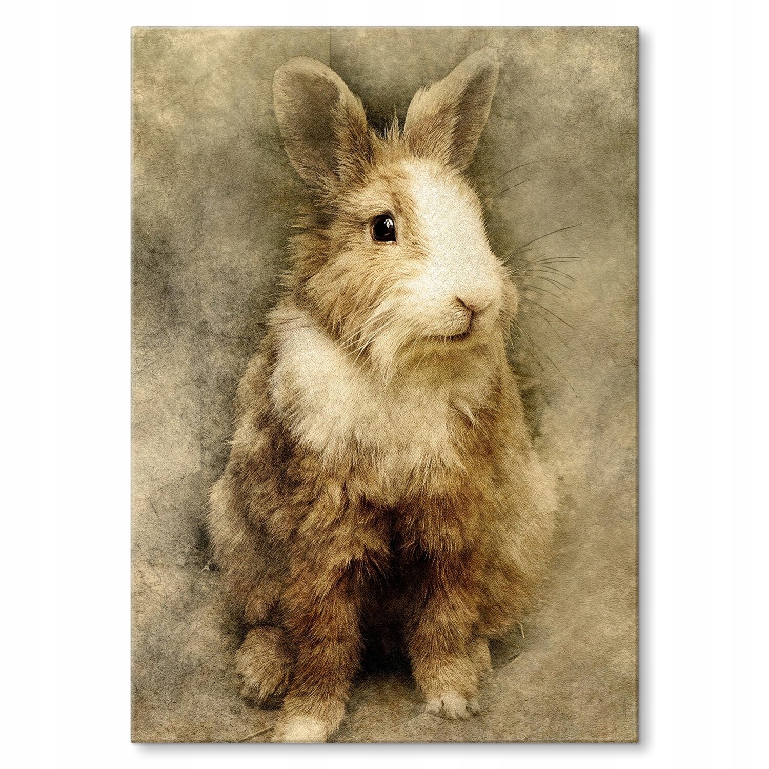 Kovový plakát Králíček Šidítko Plech 30 x 42 cm Dárek