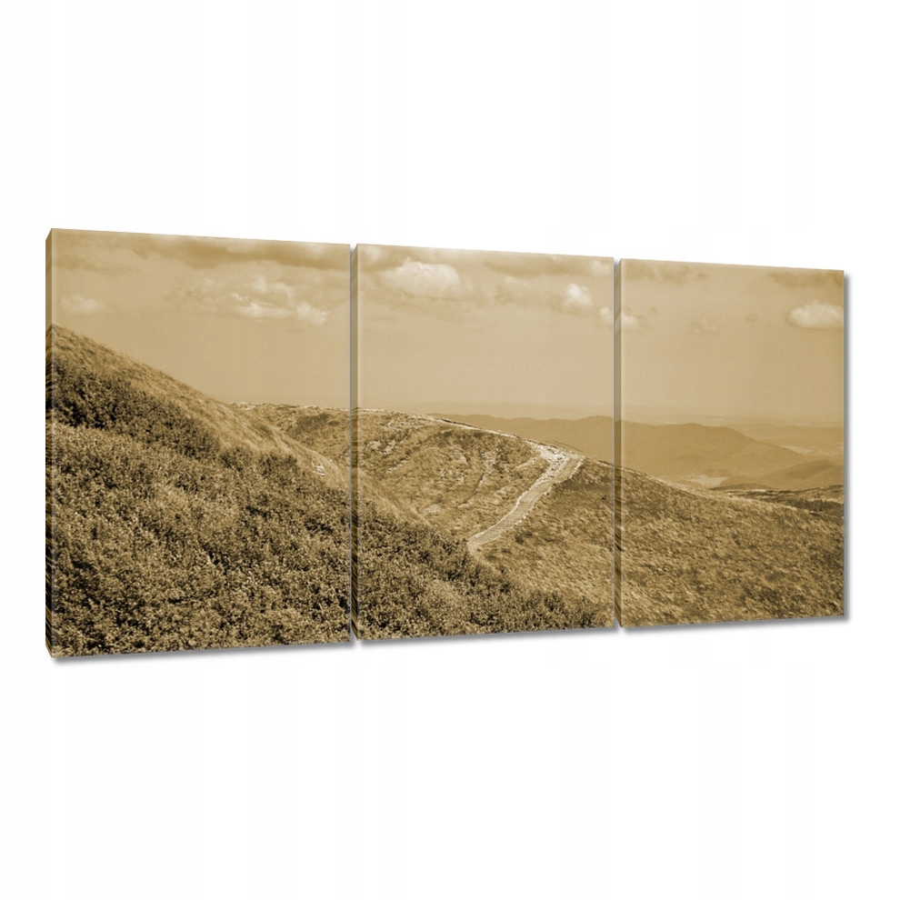 

Obrazy 120x60 Polskie góry Bieszczady