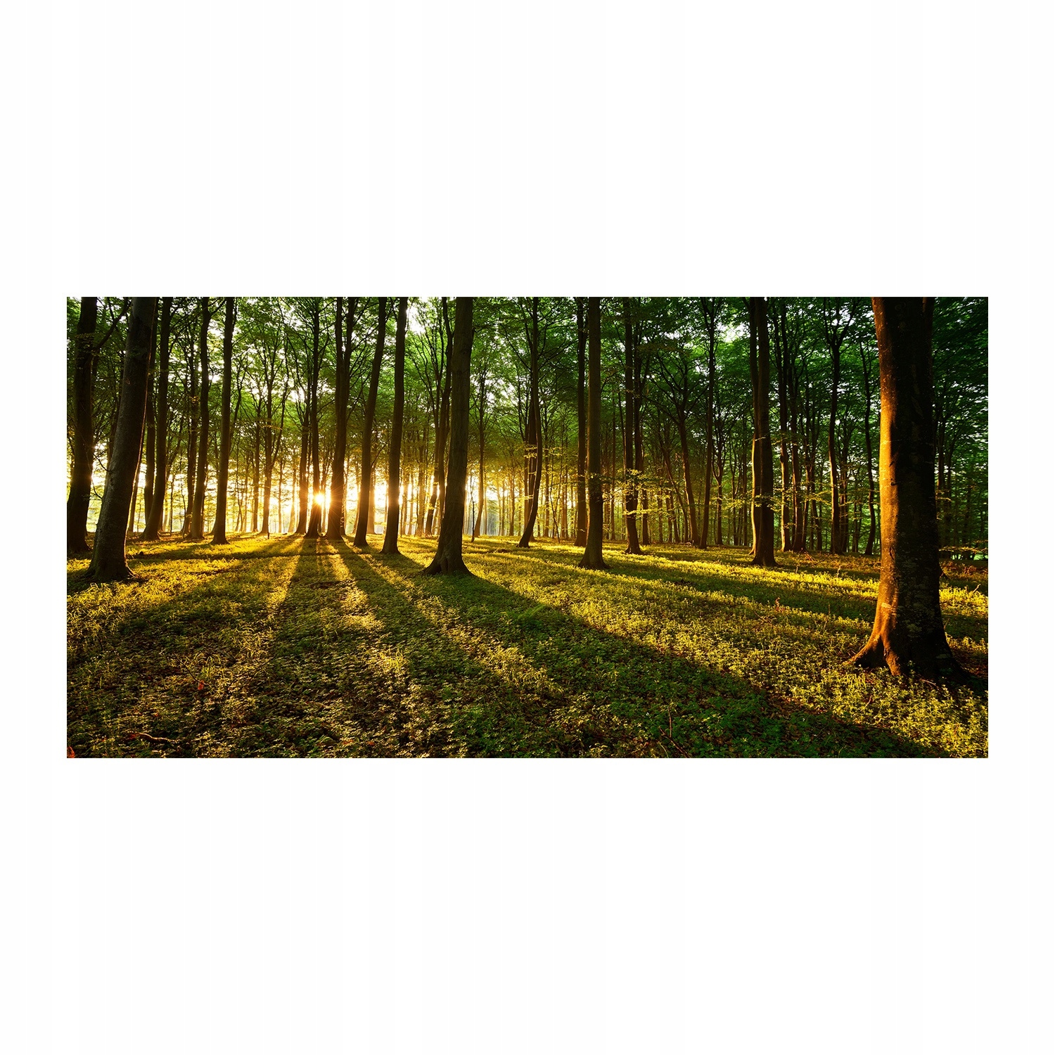

Foto obraz szkło akryl Promienie słońca 120X60 cm