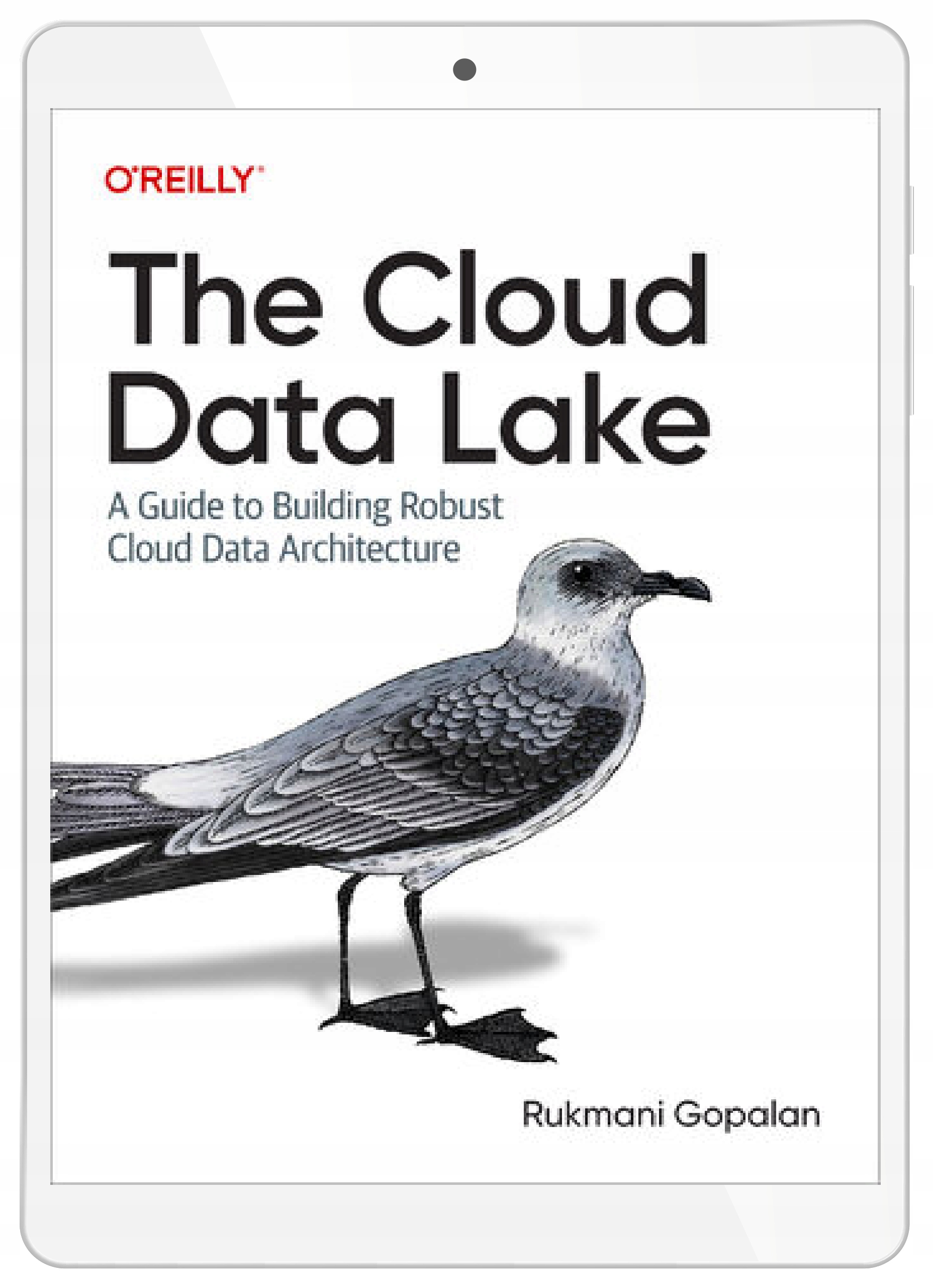 The Cloud Data Lake