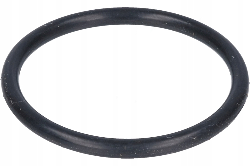 

Oring pod filtr przy reduktorze Palacar
