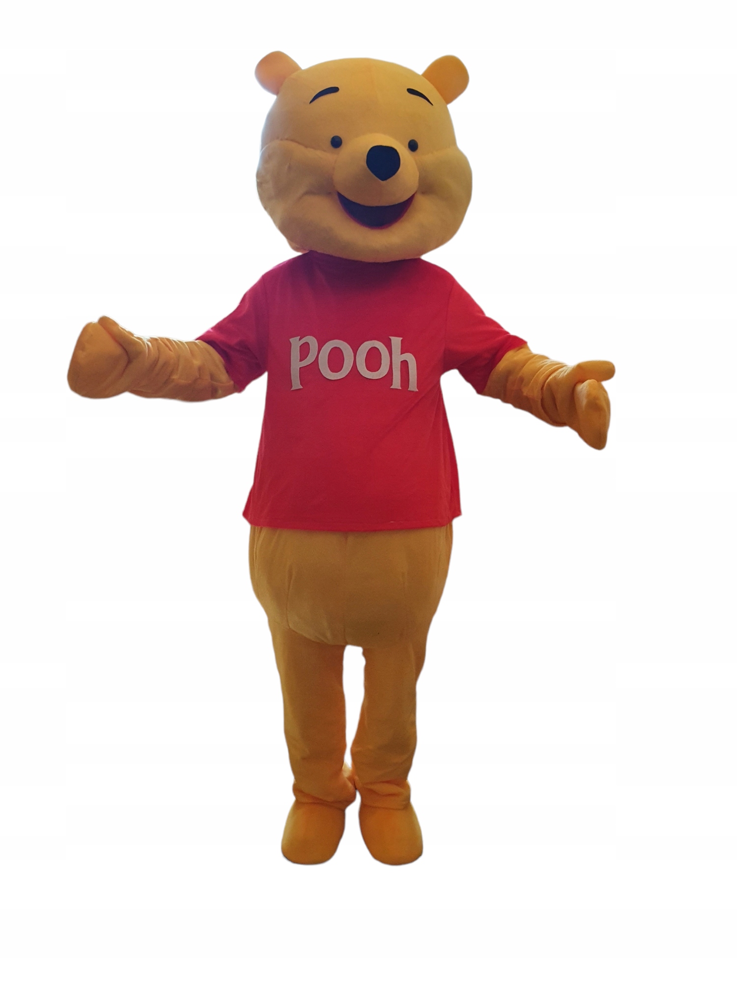 Kostium Reklamowy Kubuś Puchatek strój Żywa maskotka