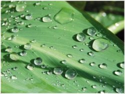 SZAFA DREWNIANA SOSNOWA MEBLE RZEŹBIONE PRODUCENT Marka inna