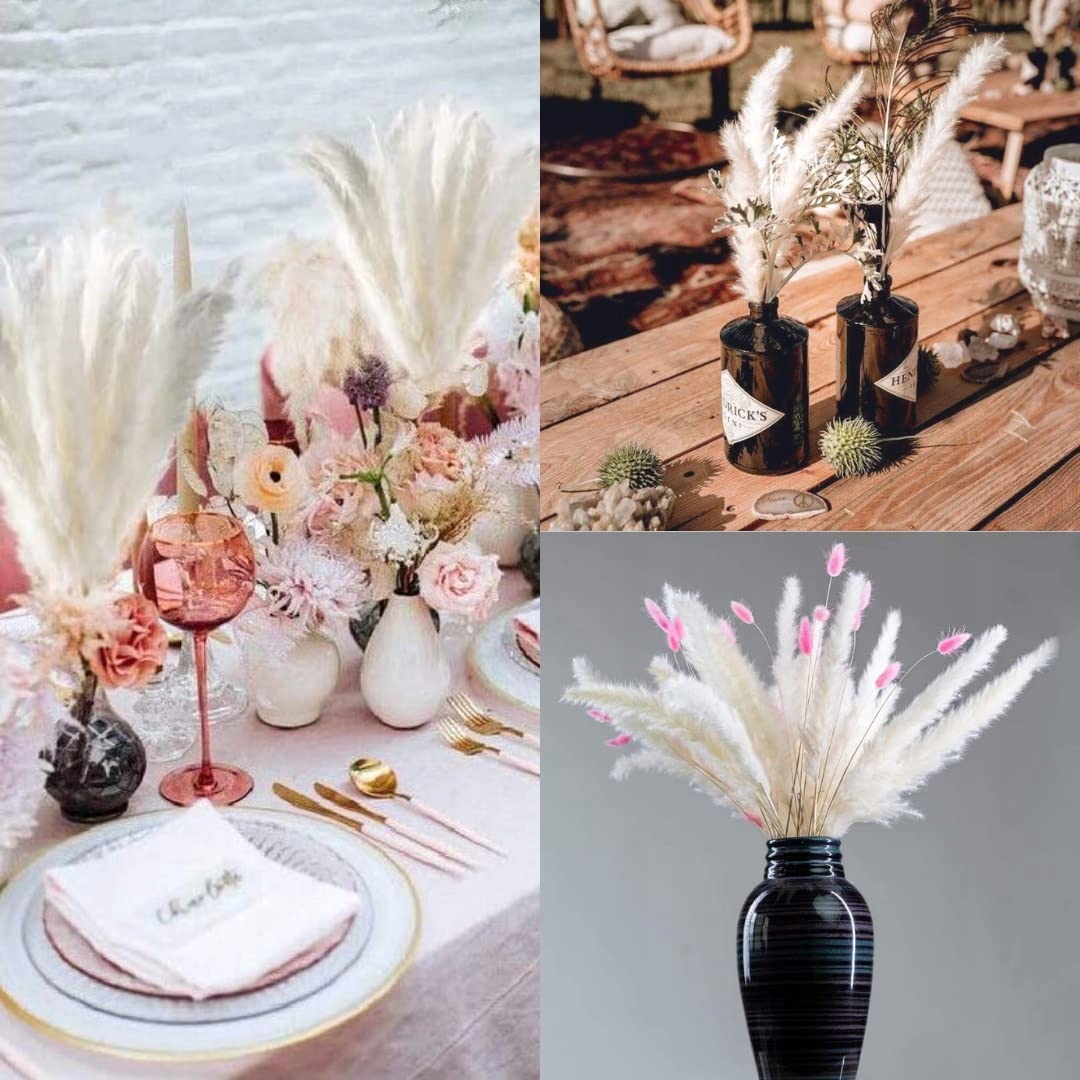 TRAWA PAMPASOWA BIAŁA SLIM BUKIET 15SZT PAMPASY KREMOWA BIEL Kod producenta 5905123056888