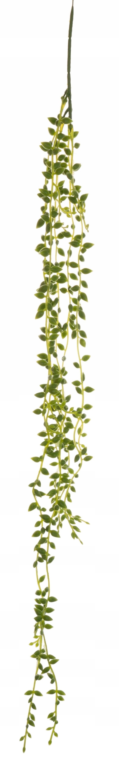 SUKULENT ZWIS STARZEC ROWLEYA KWIATY SZTUCZNE 70 CM Marka Canea