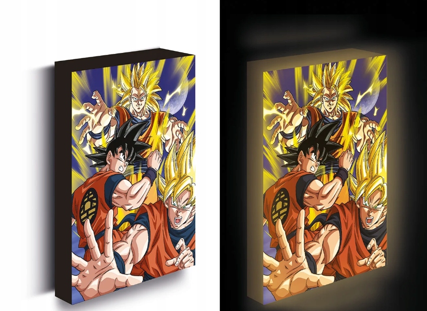 Dragon Ball Z Goku Evolution Lehké plátno 40x30 cm obraz