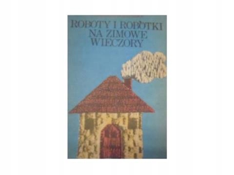 Roboty i robótki na zimowe wieczory - S Podgórski